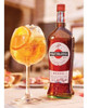 Martini Rosso 1l X2u. Zetta Bebidas 2