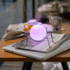 Suporte De Aranha Decor Spider Candlestick 3