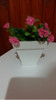 Macetitas Con Flores 1