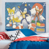 Painel Decorativo Grande Tecido Tnt - Festa Sonic 4