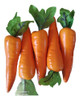 Verduras Artificiales Grandes 8 Unidades 2