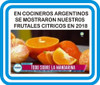 Limonero 4 Est. C/maceta 40 Cm.-e.gratis - Viv.hab.x Senasa 2