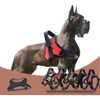 Arnes Pretal Pechera Perro Con Diseño Talle Xl / 28 A 45 Kg 1