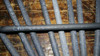 Electrodo Fundición Conarco 2.5mm.( Benavidez ) 1