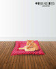 Colchoneta Perros Y Gatos  70x60x4 |  Más Modelos! 6