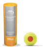 Tubo X3 Pelotas Wilson De Ténis Naranja Para Principiantes 1