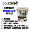 Cola Entomológica 3kg Armadilha Insetos Agricultura Orgânica 3