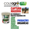 Cola Entomológica 3kg Armadilha Insetos Agricultura Orgânica 4