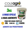 Cola Entomológica 3kg Armadilha Insetos Agricultura Orgânica 5
