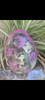Huevos De Pascua 15cm X10u 100% Chocolate 3