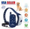 Choque De Perro Formación Collar Yarda 330 Remoto Recargable 3