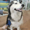 Cepillo Deslizante Para Perros De Pelo Medio A 5