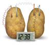 4m Crea Tu Propio Reloj De Papas 0