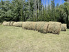 Rollos De Alfalfa Rr 20 Rollos En Total 1