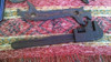 Antigua Llave D Boca Maquina Agrícola Moline Plow Co Tractor 5