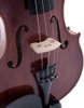 D Luca Serie Orquestal Intermedio Violin 4