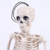 Enfeite Esqueleto 40cm Decoração Anatomia Articulado 1