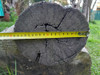 Poste Columna De Quebracho 2