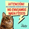 Libro Colorear Personalizado Imprimible Gatitos Gatos Cumple 5