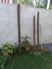 Tirante De Lapacho 2
