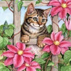 Pintura Por Diamantes Kit Completo 30x30cm -984jbcvq 0