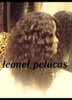 Pelucas Sin Flequillo Ondas Rulos!!! 2