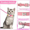 Beupy 8 Piezas Collar Y Correa Para Perros Collares Para Cac 2