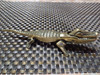Antiguo Cascanuez En Bronce Macizo. Largo 19 Cm. 0
