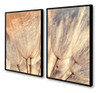 Kit 2 Quadros Decorativos Modernos Dente De Leão Com Moldura 0