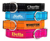 Pawblefy Collares Personalizados Para Perro, 0