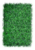 35 Placa De Grama Buchinho 40x60 Jardim Vertical Artificial 0