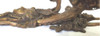 Antiguo Gran Aplique Pared Rostro Mujer 2 Lamp Bronce B300 7