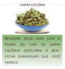 Kit 2 Chá De Capim Colônia-legítimo Panicum Maximum 1