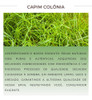Kit 2 Chá De Capim Colônia-legítimo Panicum Maximum 3