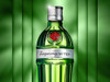Kit Cocteleria Gin Tanqueray  Botanicos Caja Kaia Six Copon 4