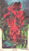 Tarot De La Santa Muerte, Para Imprimir 4