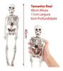Esqueleto Humano Articulado Anatomia Humana Estudo Medicina 0