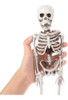 Esqueleto Humano Articulado Anatomia Humana Estudo Medicina 2