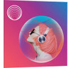 Izotope Neoverb (mac) 0