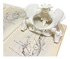 Huesos Estudio Anatomía Anatomykits 2