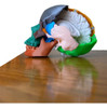 Huesos Estudio Anatomía Anatomykits 4