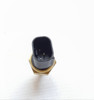 Bulbo Temperatura Byd F0 2