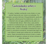 Kit Leite De Aveloz 3 Frascos 1