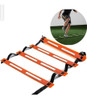 Kit Entrenamiento Escalera + 10 Conos 29cm+ 10 Tortuga *45 3