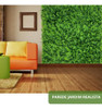 20 Placa De Samambaia Cheia 40x60 Jardim Vertical Artificial 6