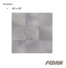 Porcelanato Ilva Evolution 60x60 6