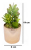Vaso Decorativo Dourado Suculentas Artificiais Sortidas 19x8 4