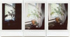 40 Fotos Para Fujifilm Instax Mini 2