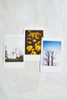 40 Fotos Para Fujifilm Instax Mini 6