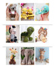 50 Patrones Amigurumis De Animalitos Tejidos A Crochet 1